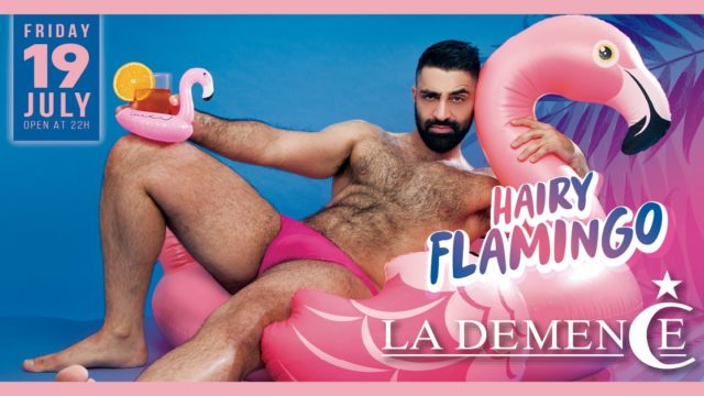 La Demence – Hairy Flamingo