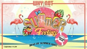 Why Not Vienna - Summerfeeling