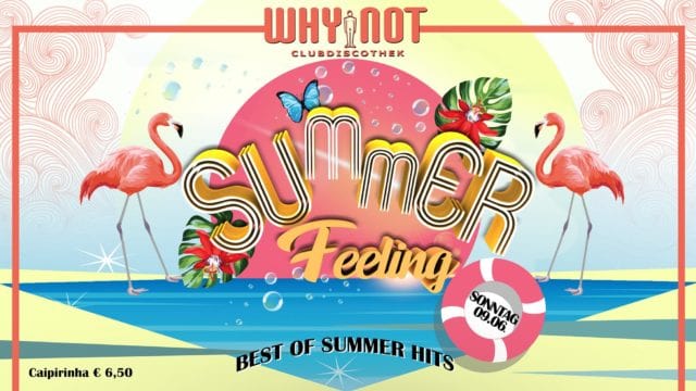 Why Not – Summerfeling