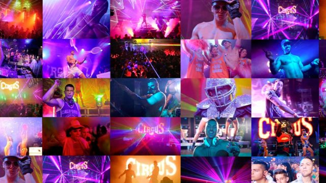 The Circus – Fall Edition