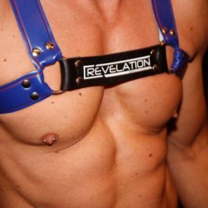 Revelation Party