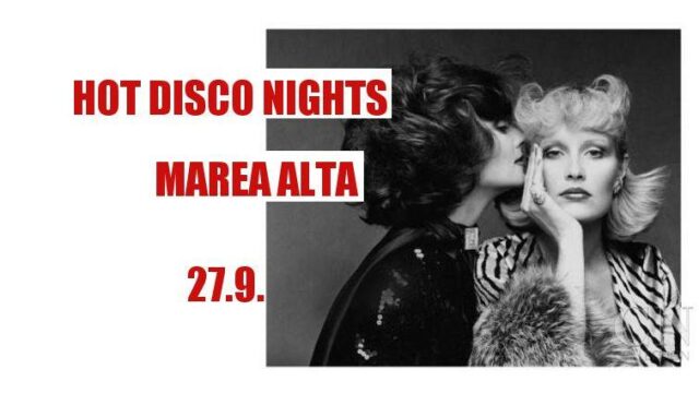 Hot Disco Nights