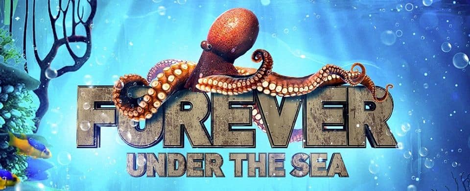 Forever Under The Sea with YINON YAHEL @YOYO