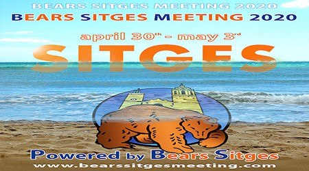 International Bears Week